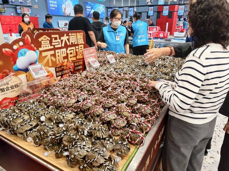 博采商贸：把握时代脉搏 助推贸易市场繁荣